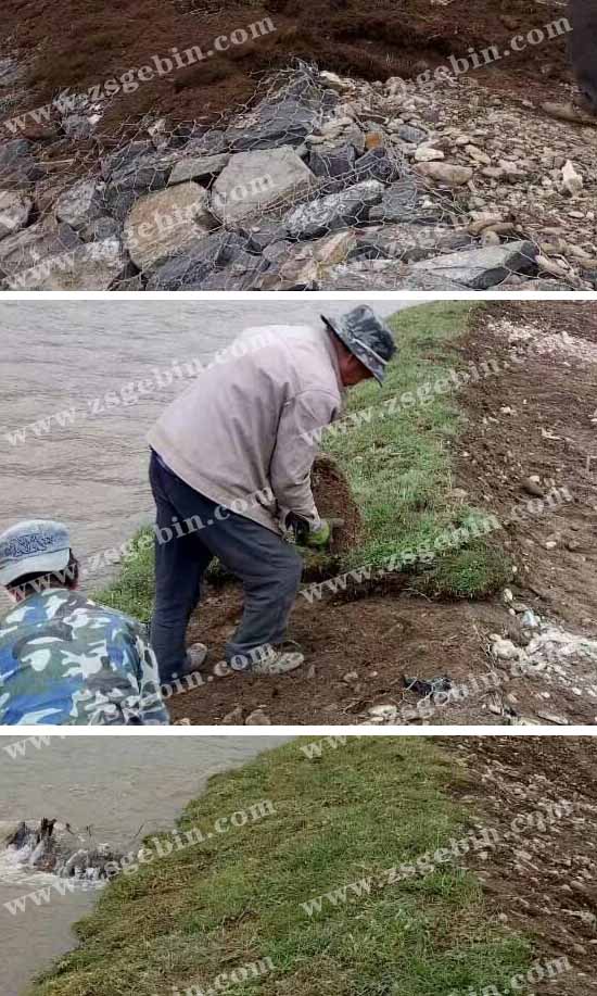 雷诺护垫护岸