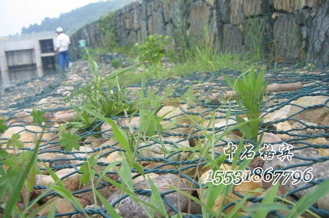 雷诺护垫