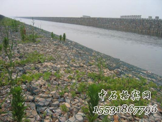 河道护坡绿滨垫