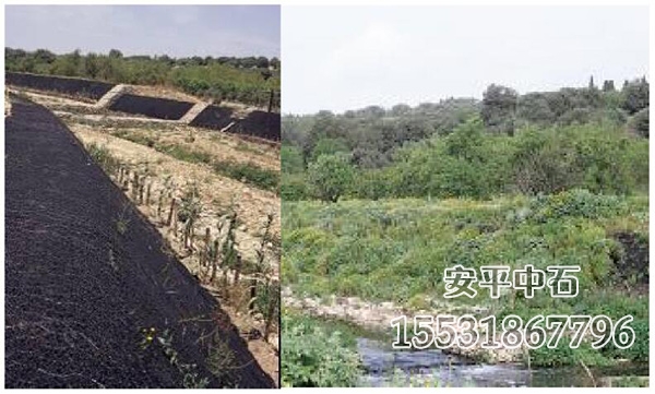 加筋麦克垫护坡